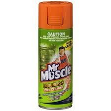 MR MUSCLE NON CAUSTIC OVEN CLEAN 300GM