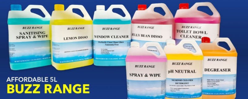 WHOUSE BUZZ WINDOW CLEANER 5L